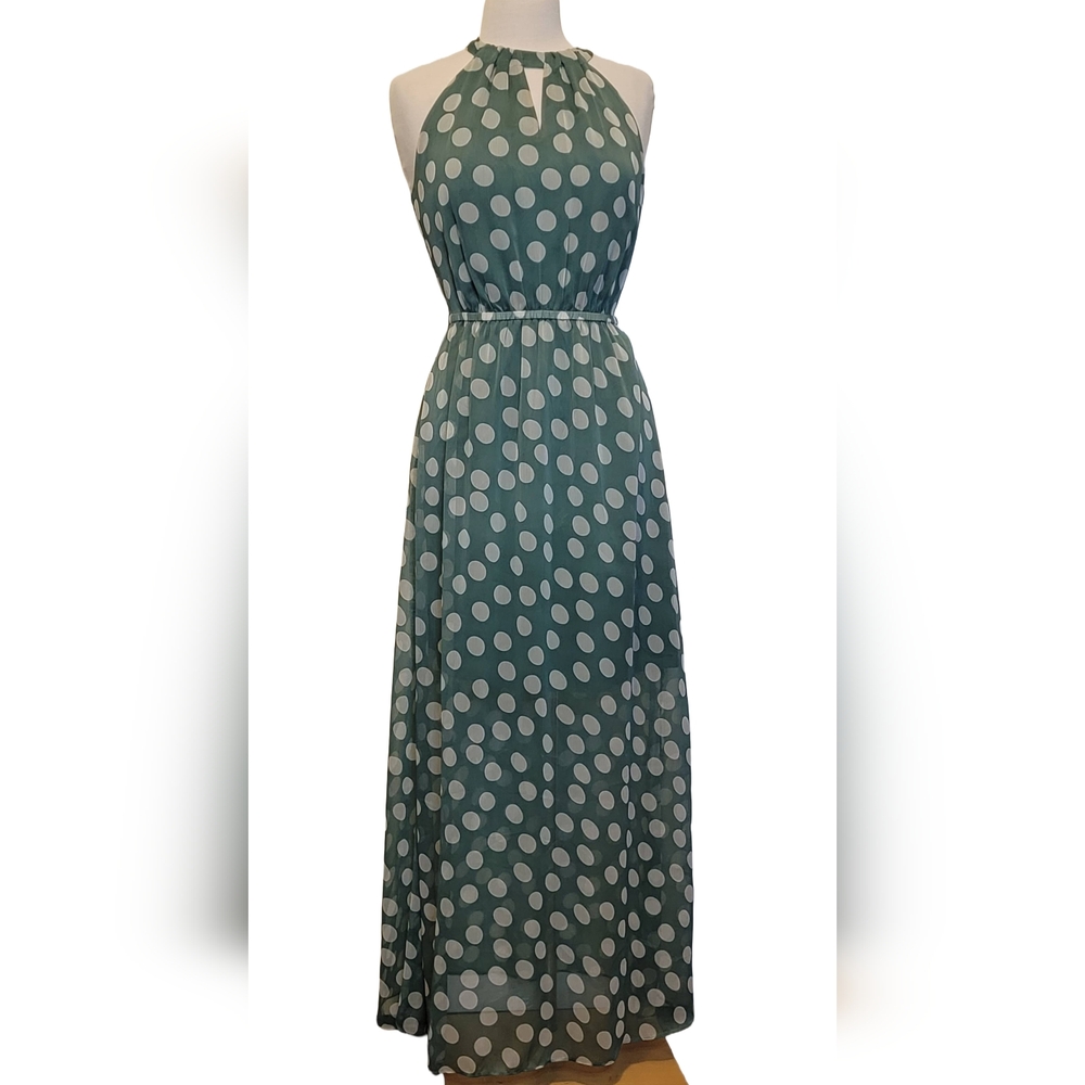 The Limited Halter Chiffon Sheer Keyhole Polka Dot Maxi Dress